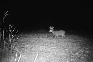 10385 N Rock City Rd, German Valley, IL 61039 - Photo 115