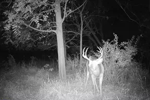 10385 N Rock City Rd, German Valley, IL 61039 - Photo 101