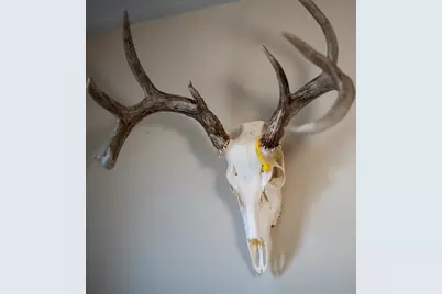 10385 N Rock City Road, German Valley, IL 61039 - Photo 35