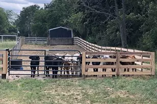 8206 Bull Valley Rd, Bull Valley, IL 60098 - Photo 33