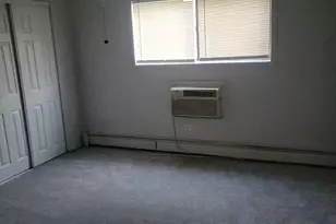 13711 S Stewart Ave, Riverdale, IL 60827 - Photo 5