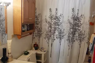 250 Peru St, Paw Paw, IL 61353 - Photo 17