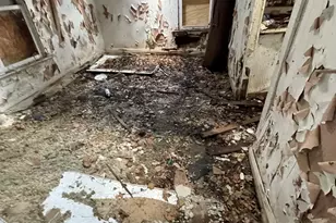 501 E Mulberry St, Bloomington, IL 61701 - Photo 11