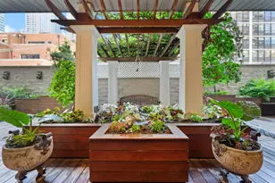 45 E Cedar St, Chicago, IL 60611 - Photo 25