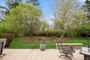 447 Lake Run Ct, North Aurora, IL 60542 - Photo 19