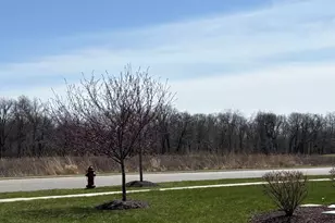 408 Stearn Dr, Genoa, IL 60135 - Photo 29