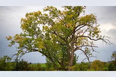 2501 US Highway 20 W, Elizabeth, IL 61028 - Photo 41