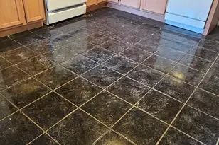 3639 N Greenview Ave, Chicago, IL 60613 - Photo 9