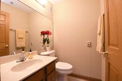 10300 Village Circle Drive #1109, Palos Park, IL 60464 - Photo 17