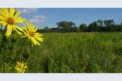 26376 N Farwell Road, Mettawa, IL 60045 - Photo 25