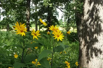 26366 N Farwell Road, Mettawa, IL 60045 - Photo 27