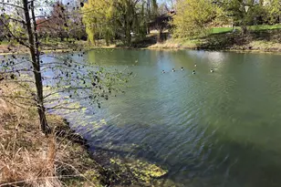 1952 Crenshaw Cir, Vernon Hills, IL 60061 - Photo 3