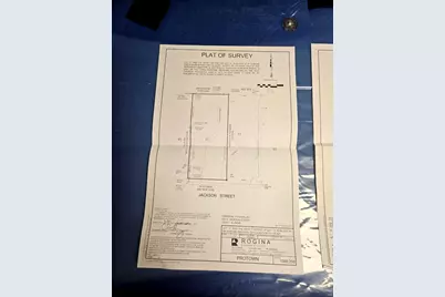 557 E Jackson Street E, Joliet, IL 60432 - Photo 7