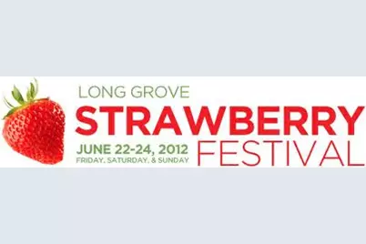 3523 Long Grove Road, Long Grove, IL 60047 - Photo 13