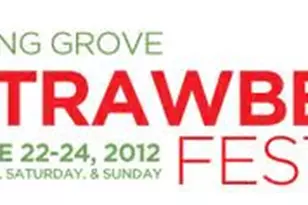 3523 Long Grove Rd, Long Grove, IL 60047 - Photo 13