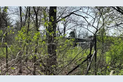 258 S Root Drive, Crete, IL 60417 - Photo 13