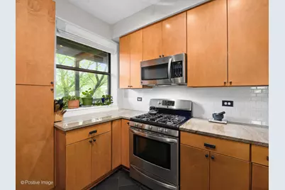 1309 W Foster Avenue #2W, Chicago, IL 60640 - Photo 9