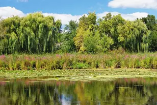 267 Red Oak Cir, Volo, IL 60020 - Photo 19