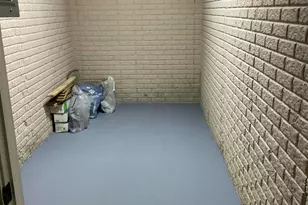 1808 S Orchard Dr, Mahomet, IL 61853 - Photo 41