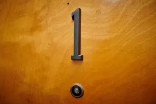 213 W Wisconsin St, Chicago, IL 60614 - Photo 3