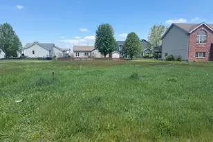 1018 Madison Ave, Braidwood, IL 60408 - Photo 1