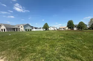 1034 Madison Ave, Braidwood, IL 60408 - Photo 1