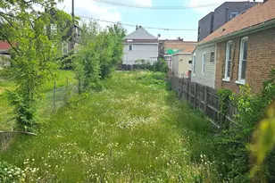 2029 W 17th St, Chicago, IL 60608 - Photo 1