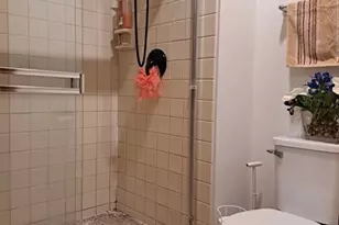 135 Thornhill Farm Ln, Saint Charles, IL 60175 - Photo 23