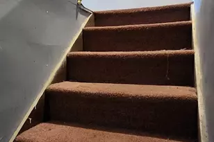 7227 S Bennett Ave, Chicago, IL 60649 - Photo 25