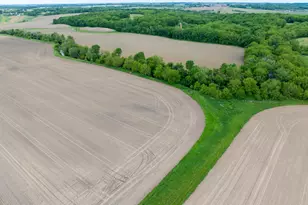 0 Capp Rd, Morrison, IL 61270 - Photo 37