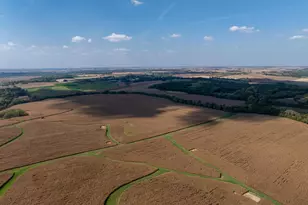 0 Capp Rd, Morrison, IL 61270 - Photo 3