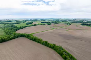 0 Capp Rd, Morrison, IL 61270 - Photo 21