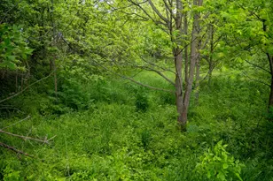 0 Capp Rd, Morrison, IL 61270 - Photo 59