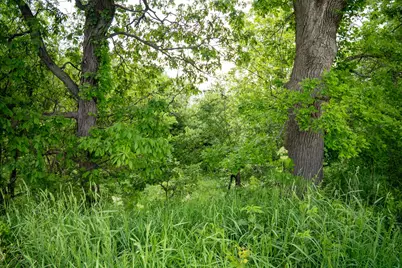 0 Capp Road, Morrison, IL 61270 - Photo 61