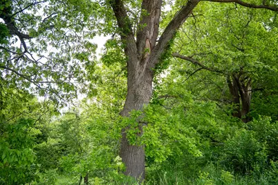 0 Capp Road, Morrison, IL 61270 - Photo 63