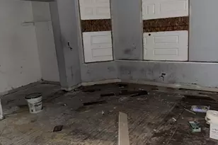 7051 S Princeton Ave, Chicago, IL 60621 - Photo 3