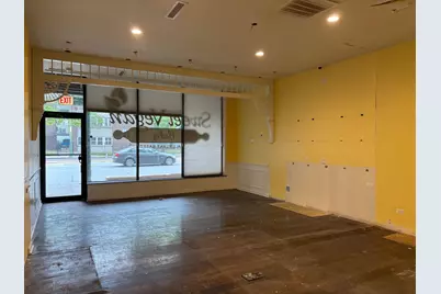 409 W North Avenue, Chicago, IL 60610 - Photo 5