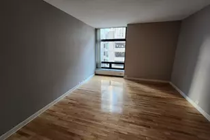 680 N Lake Shore Dr, Chicago, IL 60611 - Photo 21