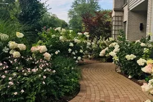 941 Harms Rd, Glenview, IL 60025 - Photo 3