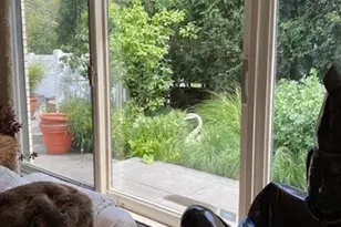 941 Harms Rd, Glenview, IL 60025 - Photo 15