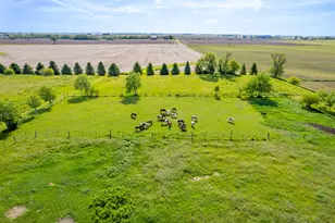 15534 Somonauk Rd, Dekalb, IL 60115 - Photo 35