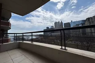 270 E Pearson St, Chicago, IL 60611 - Photo 17