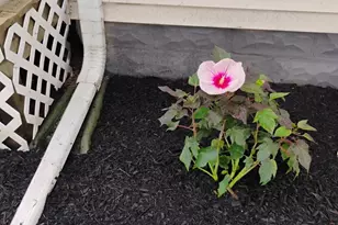 103 W Cherokee Ave W, Shabbona, IL 60550 - Photo 3