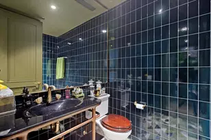 159 E Walton Pl, Chicago, IL 60611 - Photo 23