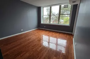 1311 S Christiana Ave, Chicago, IL 60623 - Photo 5