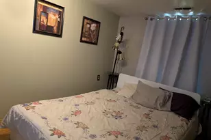 3233 S Morgan St, Chicago, IL 60608 - Photo 5