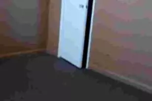 1387 Price Ave, Calumet City, IL 60409 - Photo 3