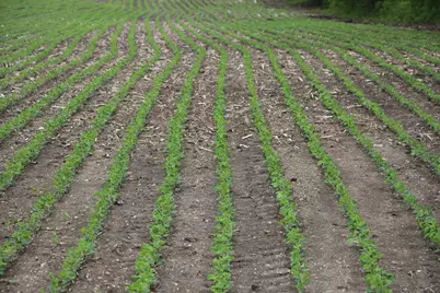 41616 N Delany Road, Wadsworth, IL 60083 - Photo 33