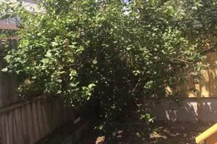 1816 S Jefferson St, Chicago, IL 60616 - Photo 19