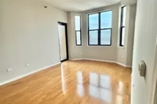 1464 S Michigan Ave, Chicago, IL 60605 - Photo 5